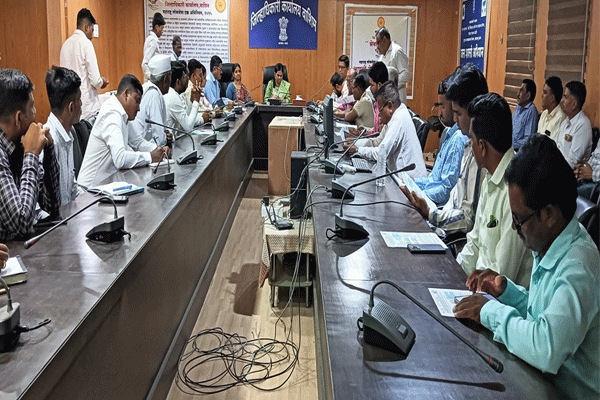 District Collector Bhuvaneshwari S