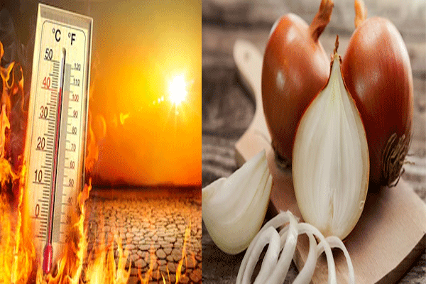 Benefits of onion in summer