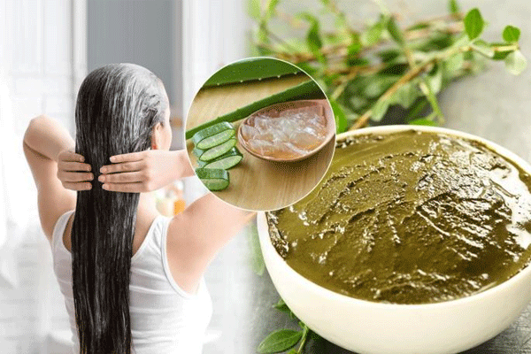 केसांसाठी मेहेंदी: नैसर्गिक सौंदर्य व आरोग्यासाठी फायदेशीर