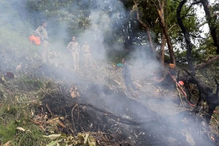 केदारनाथमध्ये हेलिकॉप्टर का कोसळले आणि कसा झाला ७ जणांचा मृत्यू?