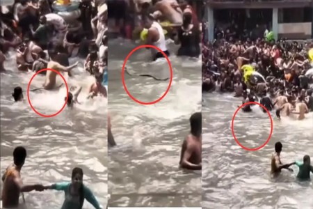 VIDEO: मसूरी केम्प्टी फॉल्समध्ये आंघोळ करणाऱ्या लोकांमध्ये शिरला साप, आणि मग...