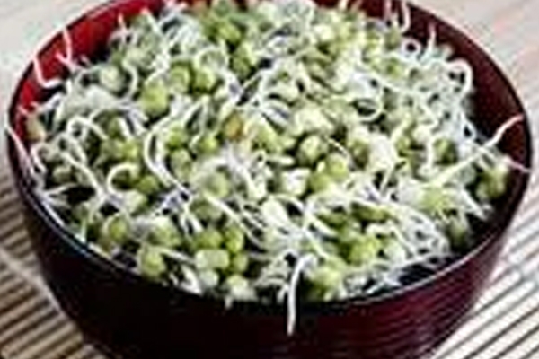 sprout moong