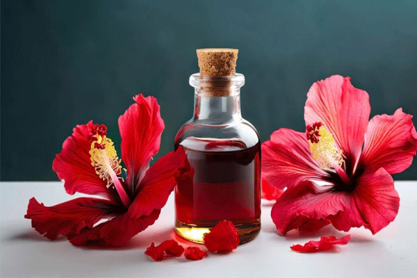 Hibiscus oil for hair growth