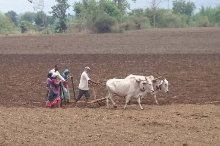 सेलू तालुयात ४८ हजार ५९५ हेटरवर होणार खरिपाची पेरणी
