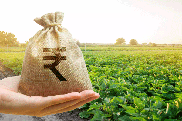 दिलासा! शेतकऱ्यांना 379 कोटी रुपयांची नुकसानभरपाई
