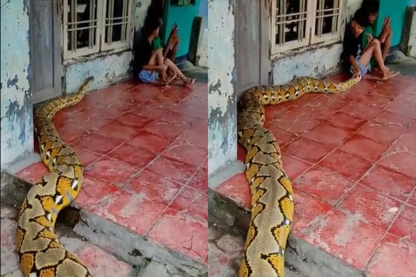 python