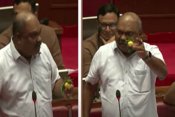 अगं बाई... अधिवेशनाच्या कामकाजात आणली लिंबू मिरची