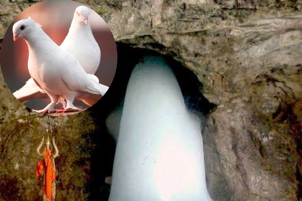 अमरनाथ यात्रा 