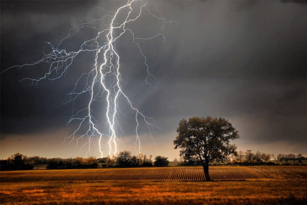 Lightning effect on forests
