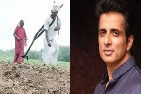 वृद्ध शेतकऱ्याच्या संघर्षाला सोनू सूदचा हातभार