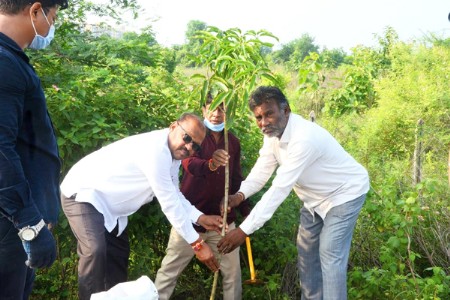 खापरी पुनर्वसन ते शंकरपूर रोड परिसरात वृक्षारोपण