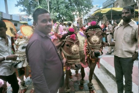 शेतकर्‍यांनी बैलाप्रती व्यक्त केली कृतज्ञता