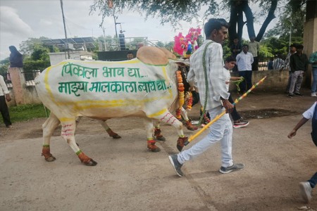 लाडक्या बहिणीला हसू, शेतकर्‍याच्या डोळ्यात आसू