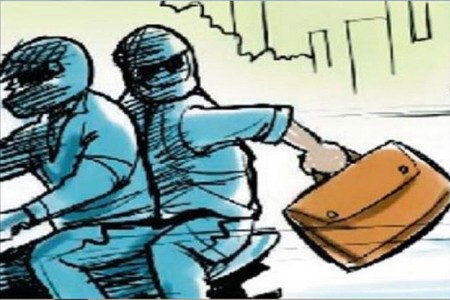 नागरिक व श्वानाच्या सतर्कते मुळे चोरटे फरार
