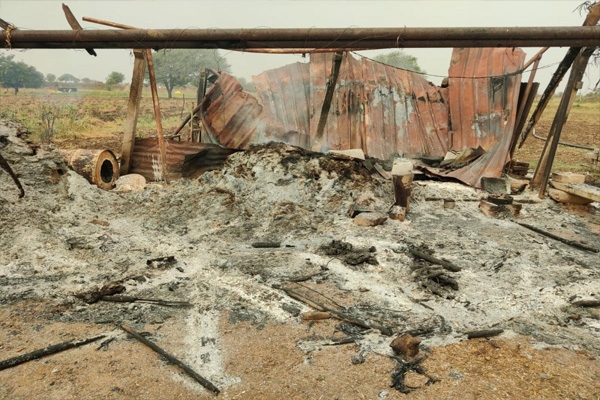 यवतमाळ, यवतमाळ न्यूज, गोठ्याला आग, Yavatmal, Yavatmal News, Cowshed fire,
