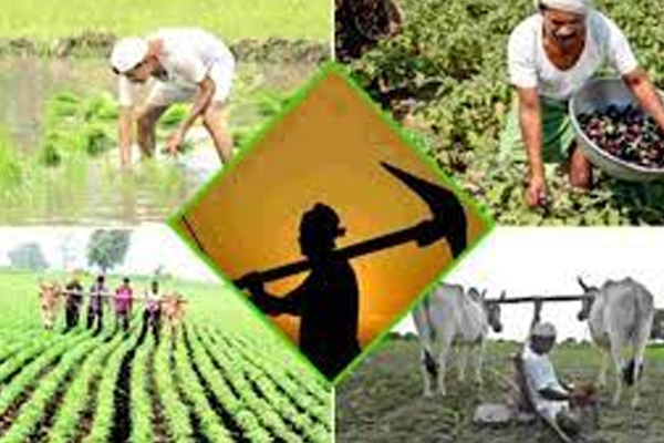 farmer 