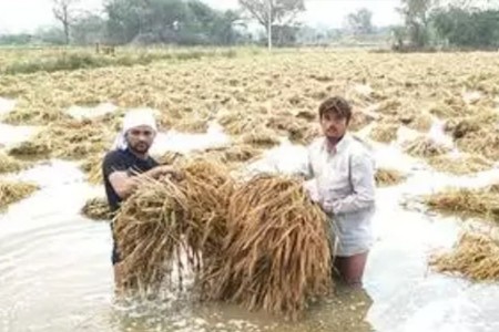 पाऊस उद्रेक : ठोसच हवे यंदा..!