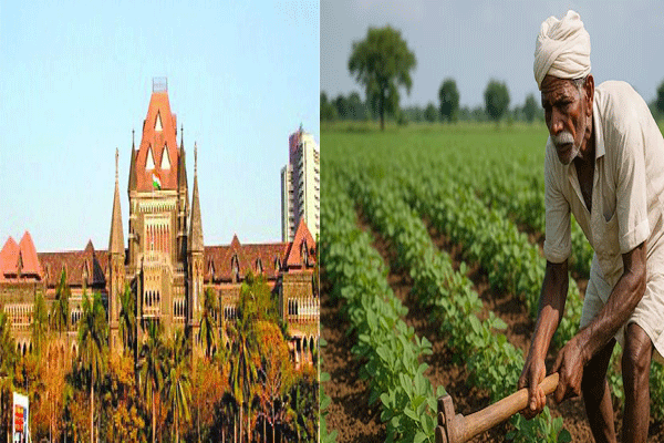 हायकोर्टाचा राज्य सरकारला अल्टिमेटम