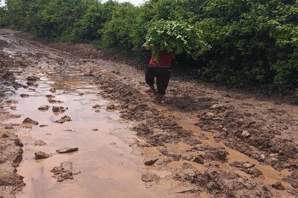 Sevadas Nagar farm road issue