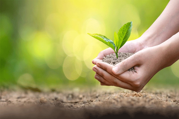 World Environmental Health Day