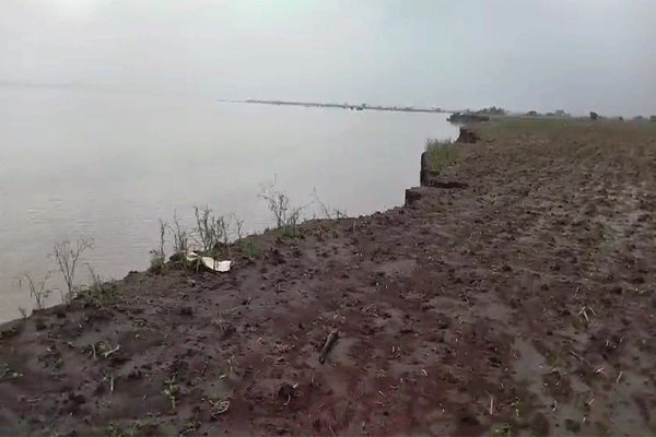 godavari river erosion,