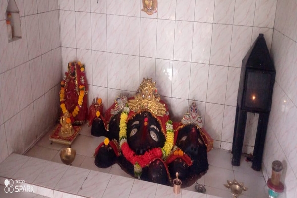 telae mata