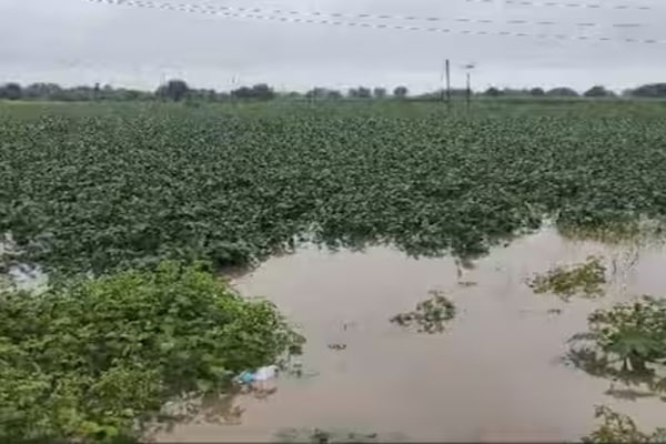 All drought relief measures implemented