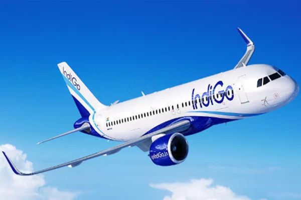 indigo viman