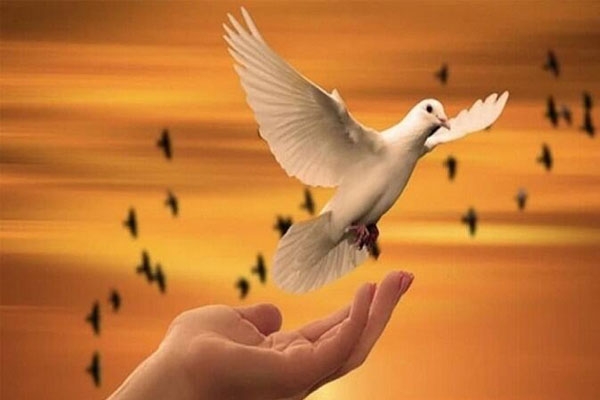 World Day of Peace