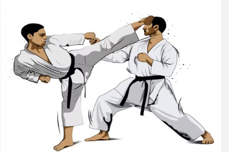 खंडाळा येथील राष्ट्रीय कराटे स्पर्धेत पांढरकवड्याचा डंका