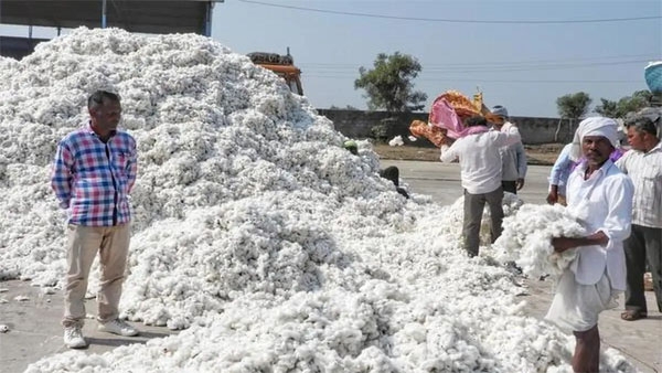 sindi-railway-cotton-market