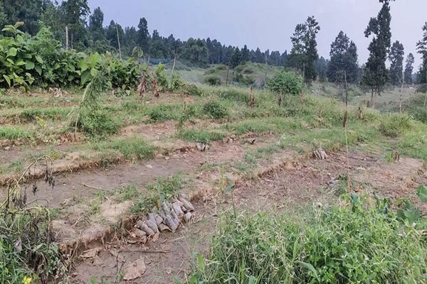 tribal farmers Wardha, Mandla Arvi forest land