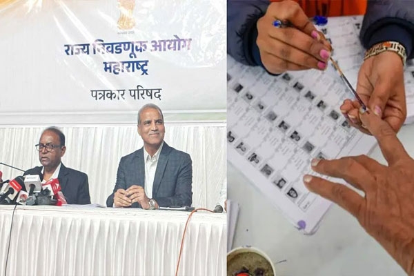 District Council Elections