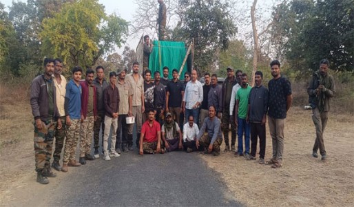 खुर्सापार जंगलातील ५ पैकी १ वाघोबा अडकला!