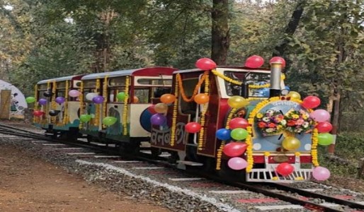 येत्या तीन महिन्यांत ‘वनबाला ट्रेन’ हाेणार सुरु ?