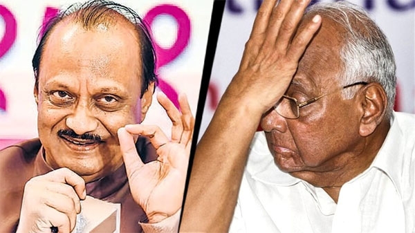 ncp-bjp-election-pawar
