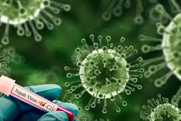 nipah virous