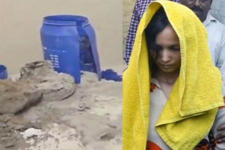 'हनीमून से हत्या' समाजाला हादरवणाऱ्या हत्याकांडांची वेबसीरिज