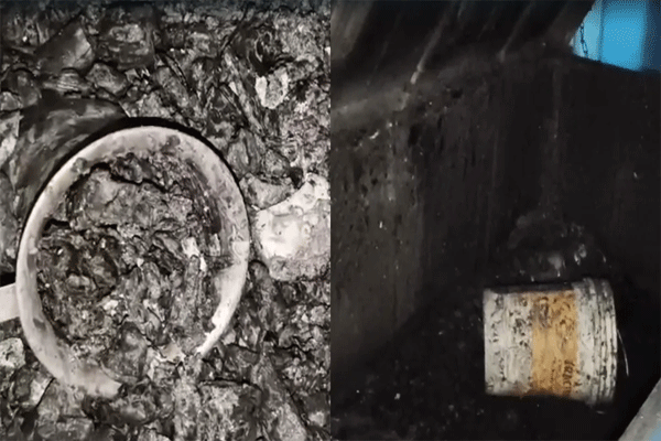 jhansi-live-in-partner-murder