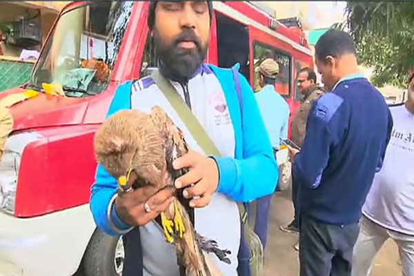 Vidya Praman Rescue Campaign