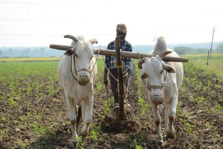ऐतिहासिक निर्णय! बळीराजा 'टेन्शन फ्री' राज्य सरकारची मोठी घोषणा