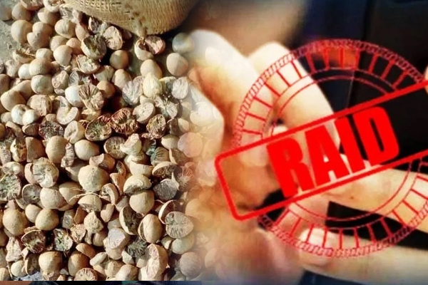 सुपारी raid 