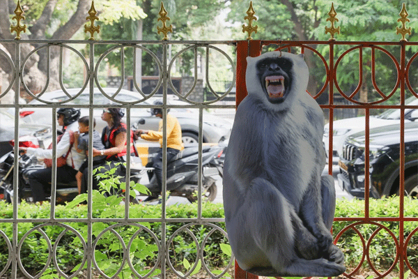 job-in-legislative-assembly