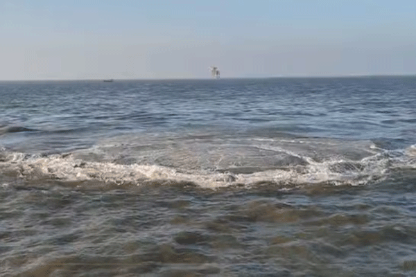 boiling-grounds-found-in-arabian-sea