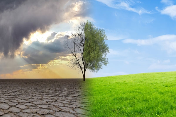 Significant Weather Changes in Maharashtra; Health Concerns on the Rise Among Citizens