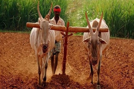 आंदवार्ता! शेतकऱ्यांचे कर्ज होणार माफ... करण्यात आली मोठी घोषणा