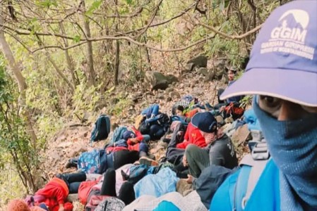 ट्रेकिंग दरम्यान विद्यार्थ्यांवर मधमाश्यांचा हल्ला...३५ हून अधिक जखमी