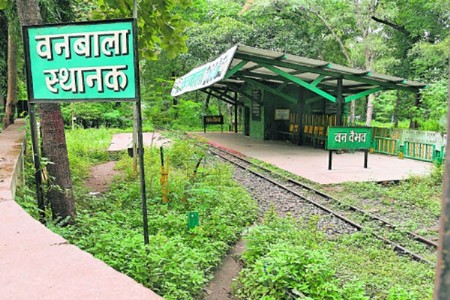 रुळांवर नाही, शेडमध्येच ‘वनबाला’