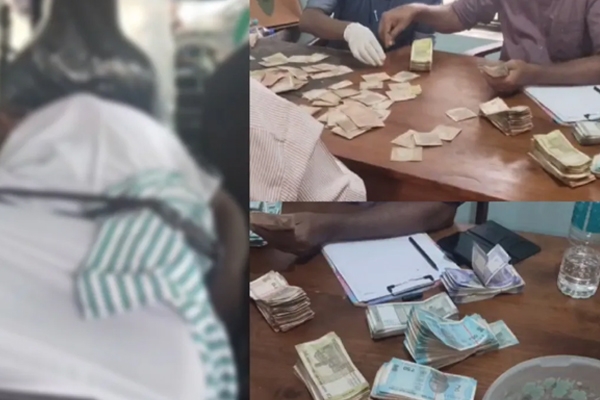 बग्गर्स बॉक्स 