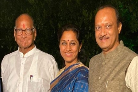 मोठी बातमी! महायुती अजित पवारांना 'कडू'? शरद पवारांचा घरी 'दादा' परतणार का